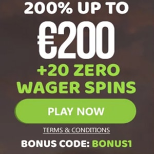 Slots No Wagering Bonus