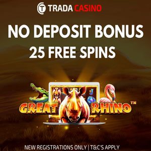 Casino Free Spin No Deposit