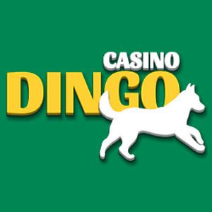 Casino Dingo No Deposit