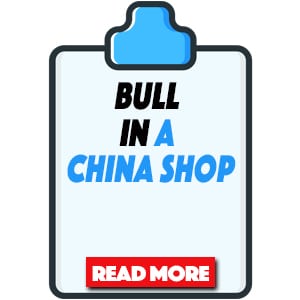 bull in a china shop