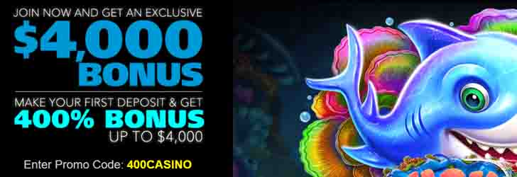 Wolf Canyon Keep spin palace flash casino games And you will Winnings